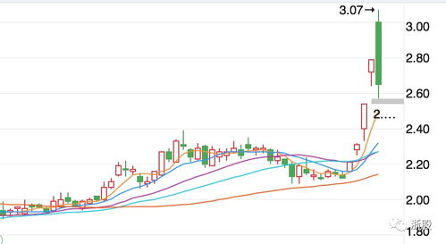 大美科技股票分析与投资建议