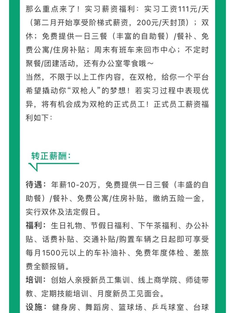 双枪科技股份有限公司官网