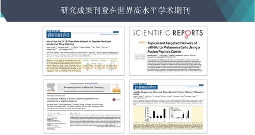 滇西科技应用技术大学