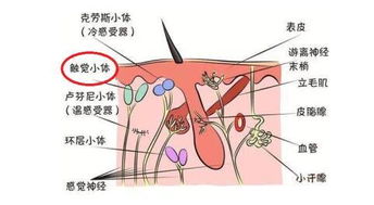 科技是第一生产力对文化的影响