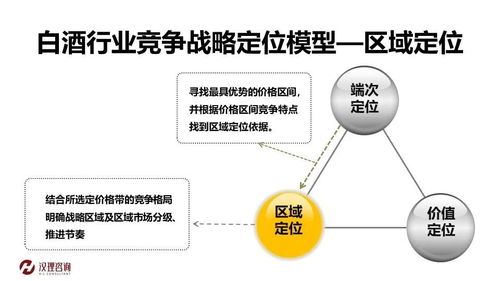 《互联网行业审计方法变革之道现代信息技术的应用》成书