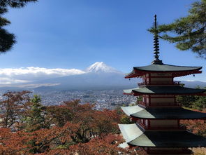 日本富士山特色雪顶迟迟不来，气候变迁下的自然奇观挑战